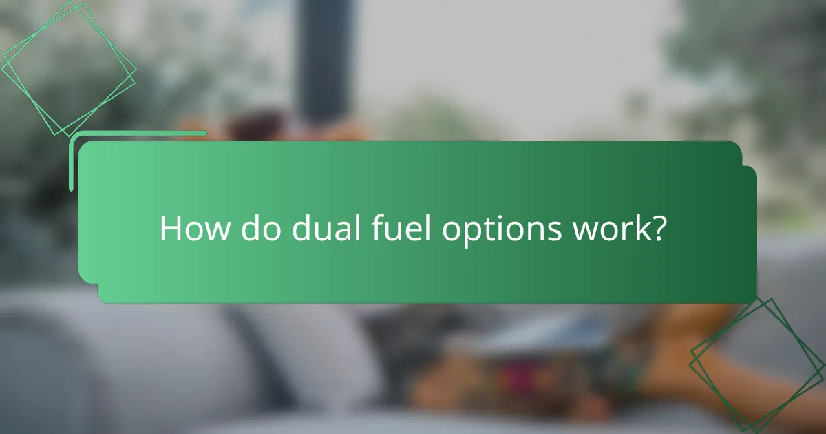 How do dual fuel options work?